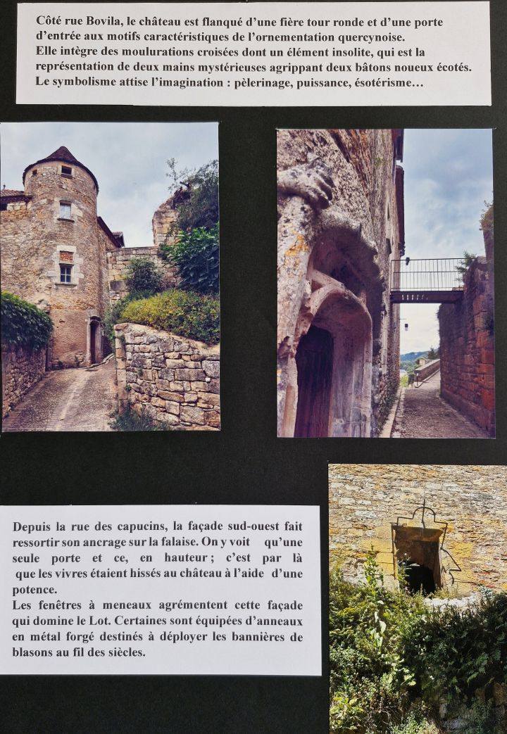 image5, Bovila2